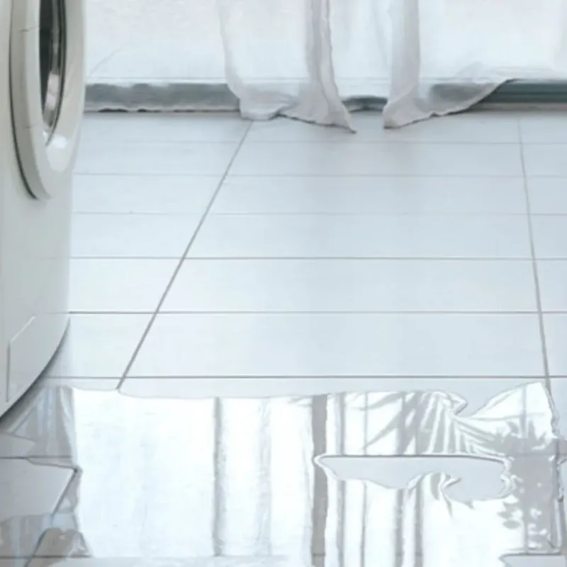 Appliance Leak Cleanup in Carver County, MN
