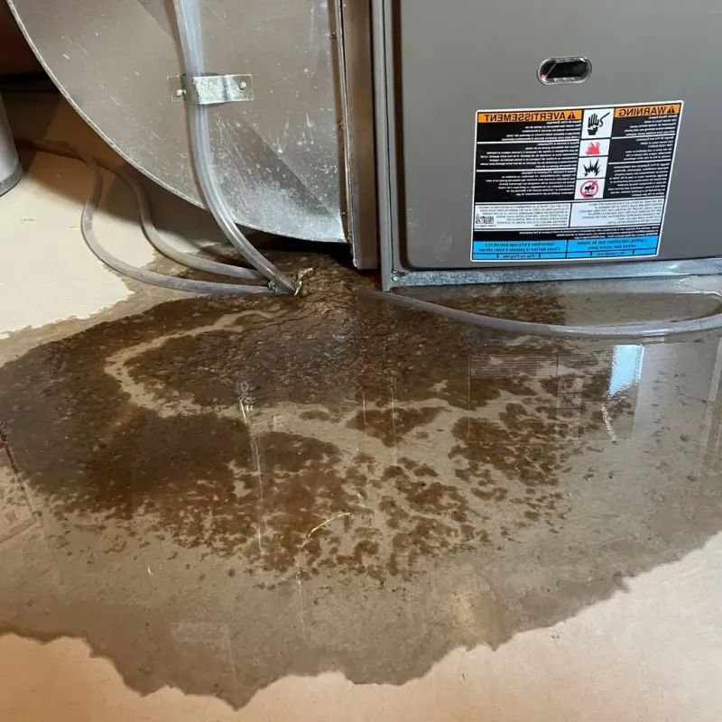 Pipe Burst and Leak Restoration in Carver County, MN